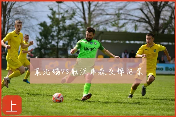 莱比锡vs勒沃库森交锋记录