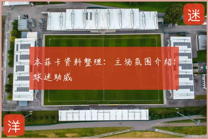 本菲卡资料整理：主场氛围介绍：球迷助威